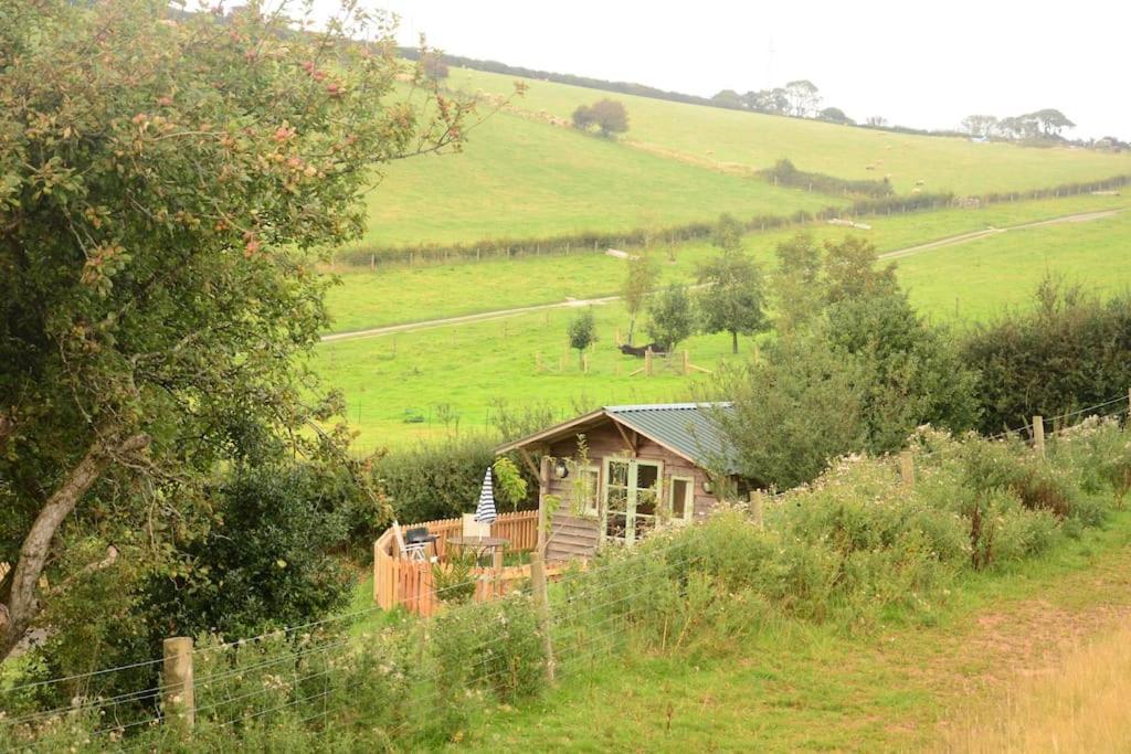 Woolcombe Cabin East Allington Bagian luar foto