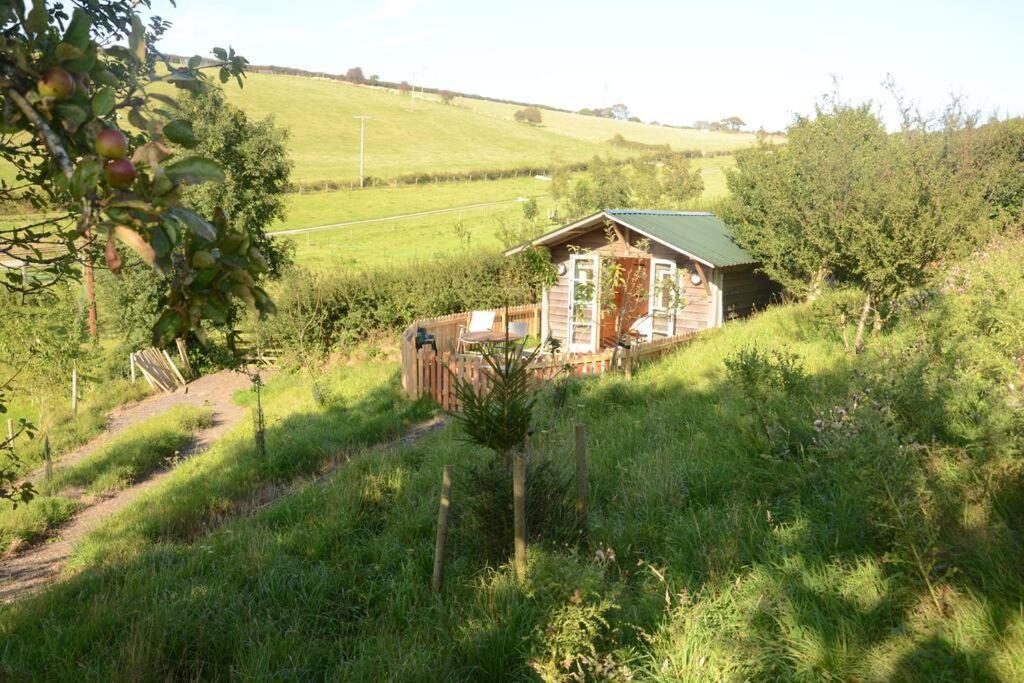 Woolcombe Cabin East Allington Bagian luar foto
