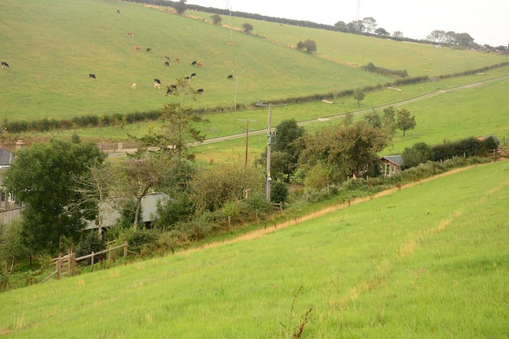 Woolcombe Cabin East Allington Bagian luar foto